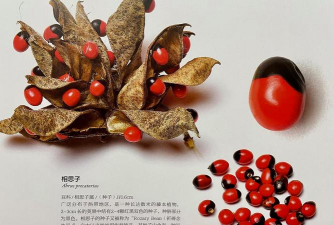 小众送妈妈的花有哪些花