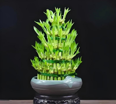 小众送妈妈的花有哪些花