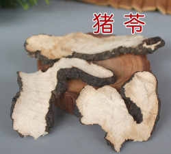 猪用中药什么最好