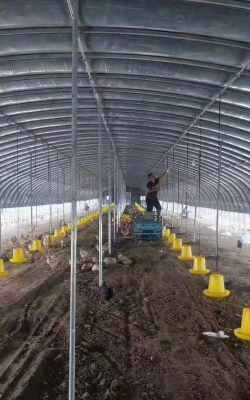 小众送妈妈的花有哪些花