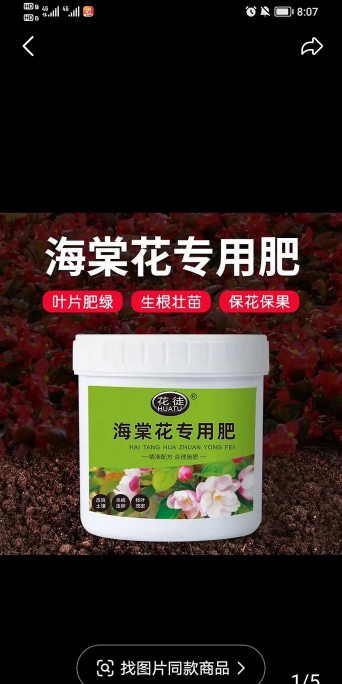 小众送妈妈的花有哪些花