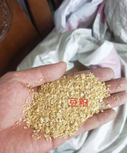 小众送妈妈的花有哪些花