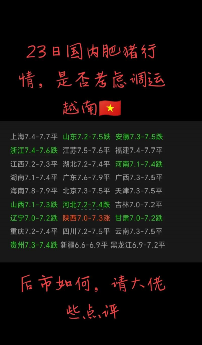 越南生猪多少钱一公斤