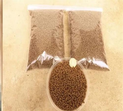 小众送妈妈的花有哪些花