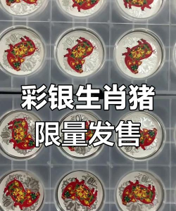 19年什么颜色猪