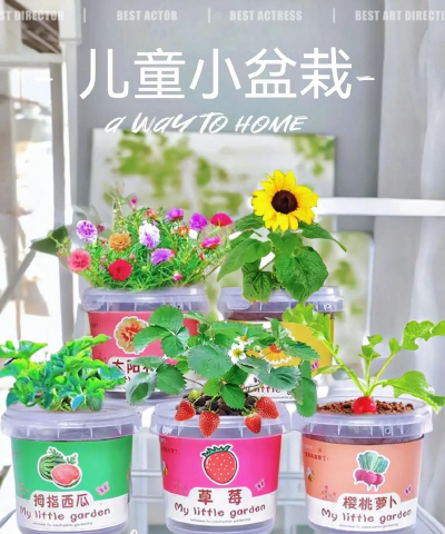 小众送妈妈的花有哪些花