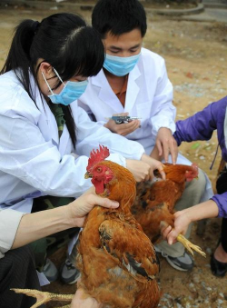 小众送妈妈的花有哪些花