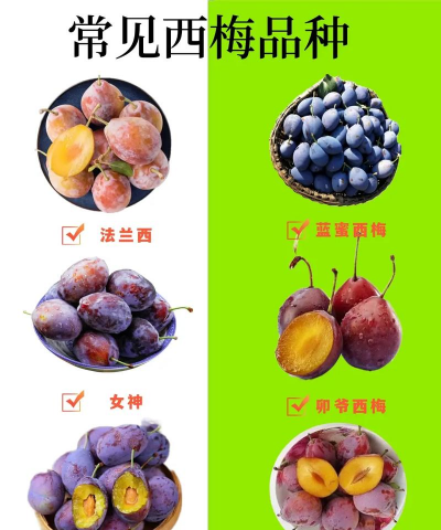 小众送妈妈的花有哪些花