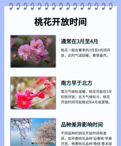 桃花什么时候开花季节 桃花什么时候开花季节