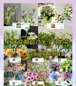 小众送妈妈的花有哪些花
