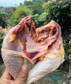 小众送妈妈的花有哪些花