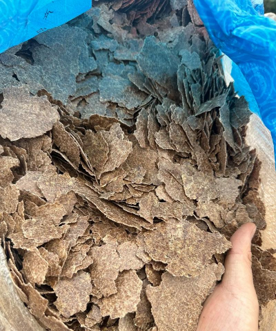 小众送妈妈的花有哪些花