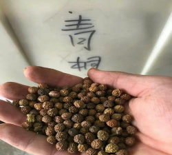 小众送妈妈的花有哪些花