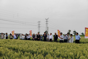 小众送妈妈的花有哪些花