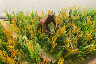 小众送妈妈的花有哪些花