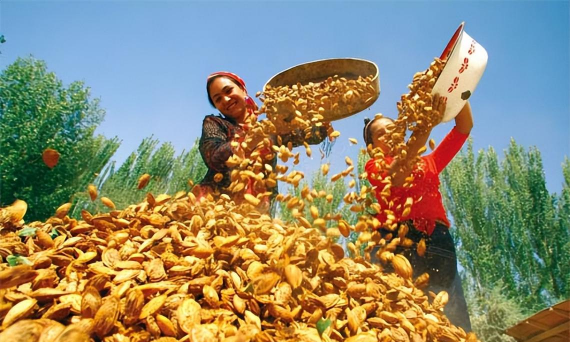 小众送妈妈的花有哪些花