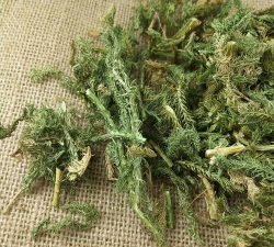 小众送妈妈的花有哪些花