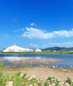 小众送妈妈的花有哪些花