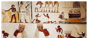 小众送妈妈的花有哪些花