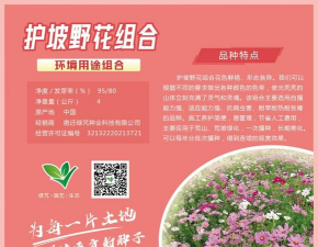 小众送妈妈的花有哪些花