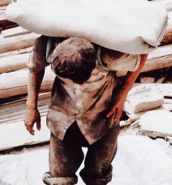 小众送妈妈的花有哪些花