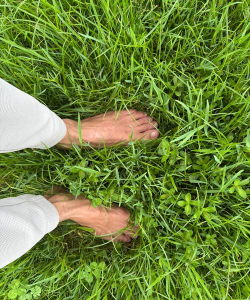小众送妈妈的花有哪些花