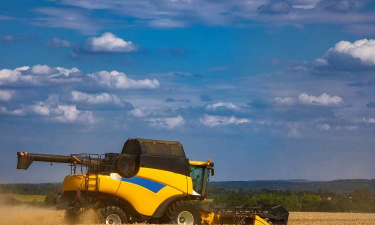 小众送妈妈的花有哪些花