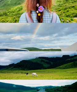 小众送妈妈的花有哪些花