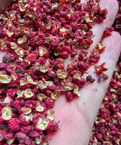 小众送妈妈的花有哪些花