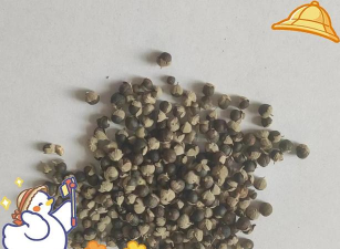 小众送妈妈的花有哪些花