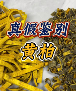 怎么辨别黄柏蜜的真假