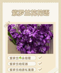 小众送妈妈的花有哪些花