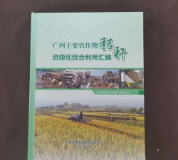 广西主要农作物