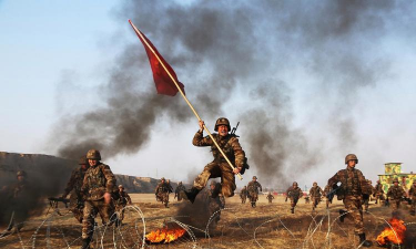 小众送妈妈的花有哪些花