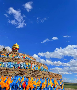 小众送妈妈的花有哪些花