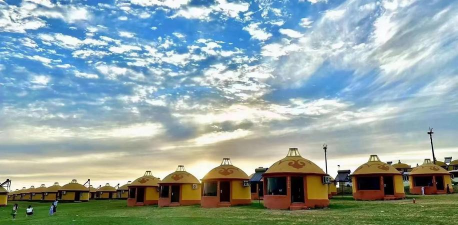 小众送妈妈的花有哪些花