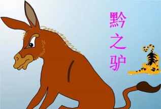 小毛驴吃猫尾草吗