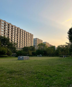 小众送妈妈的花有哪些花