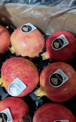 小众送妈妈的花有哪些花