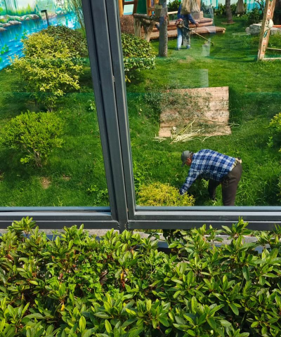 小众送妈妈的花有哪些花