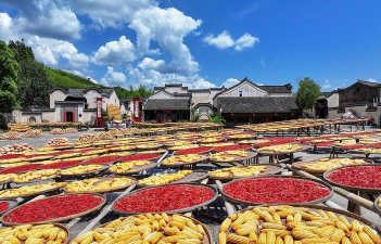 小众送妈妈的花有哪些花