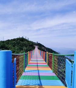 小众送妈妈的花有哪些花