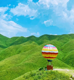 小众送妈妈的花有哪些花