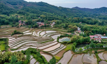 小众送妈妈的花有哪些花
