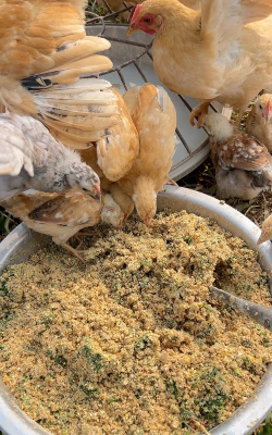 小众送妈妈的花有哪些花