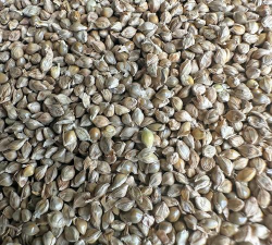 小众送妈妈的花有哪些花