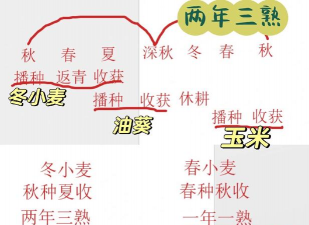 小众送妈妈的花有哪些花