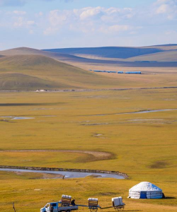 小众送妈妈的花有哪些花