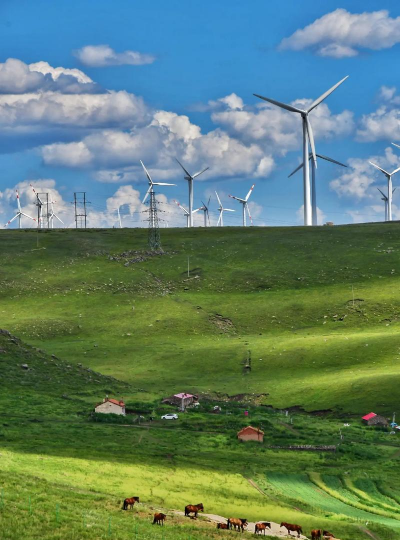 小众送妈妈的花有哪些花