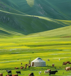 小众送妈妈的花有哪些花